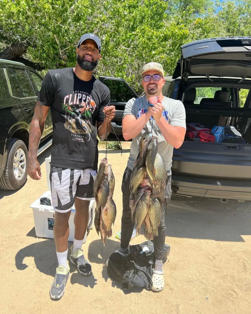 然未能如愿 然未能如愿