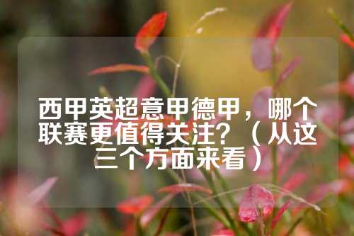 收藏 收藏
